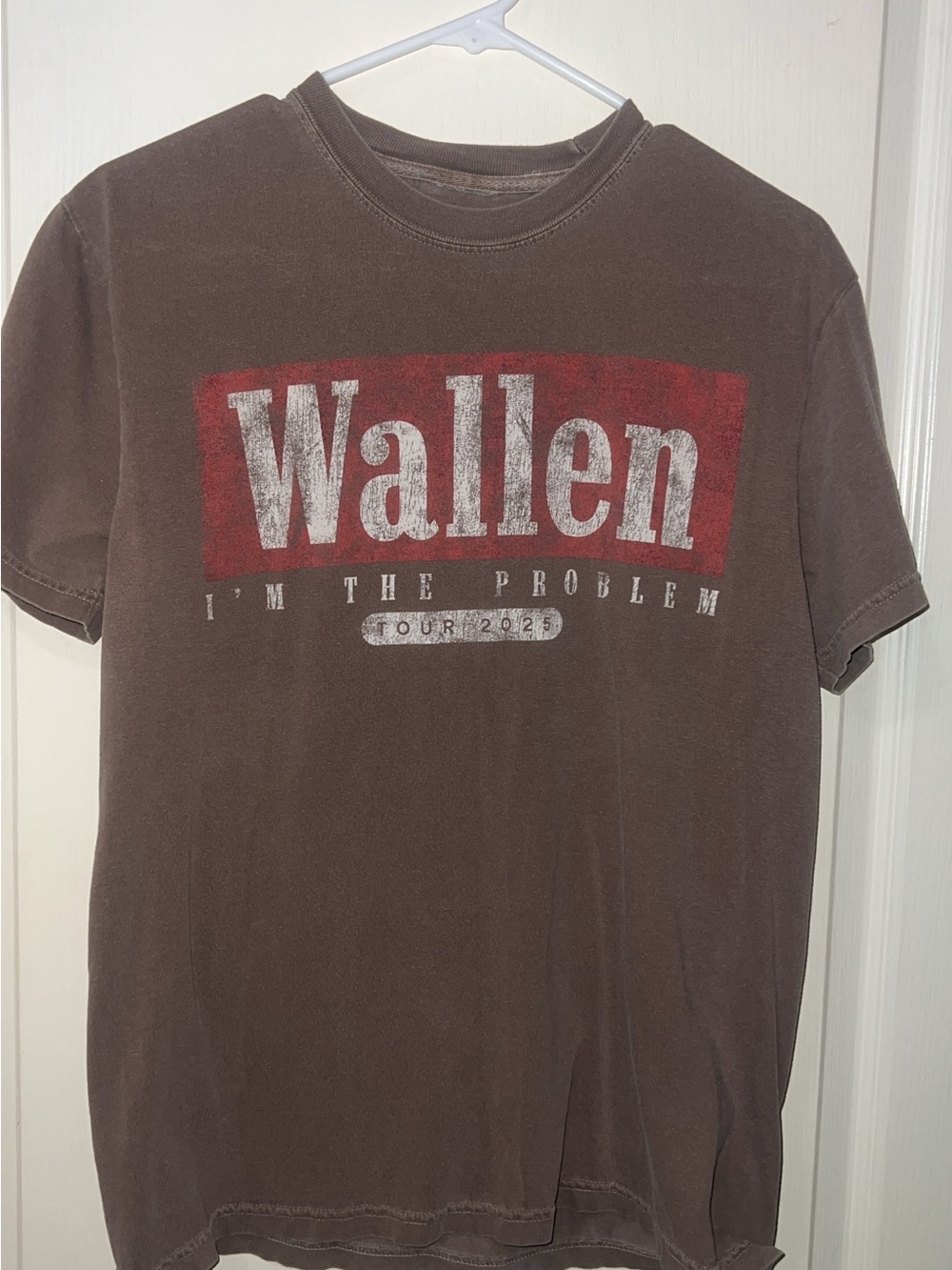 'I'm The Problem' Brown Tour T-Shirt